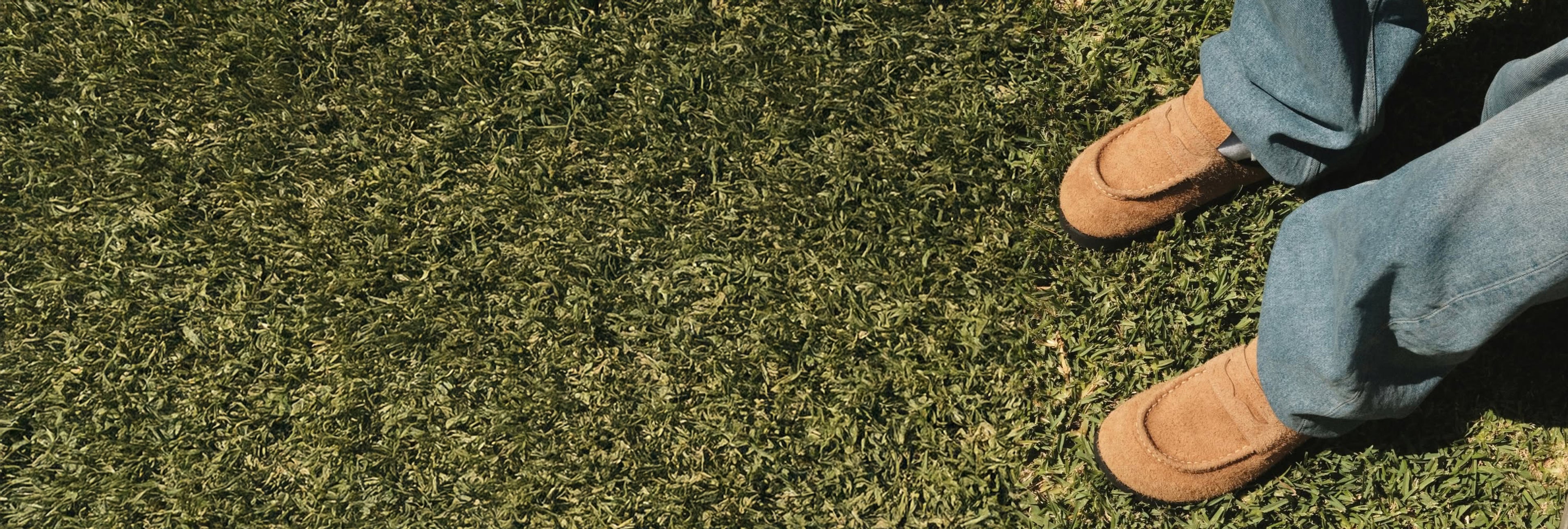 collection-banner-image