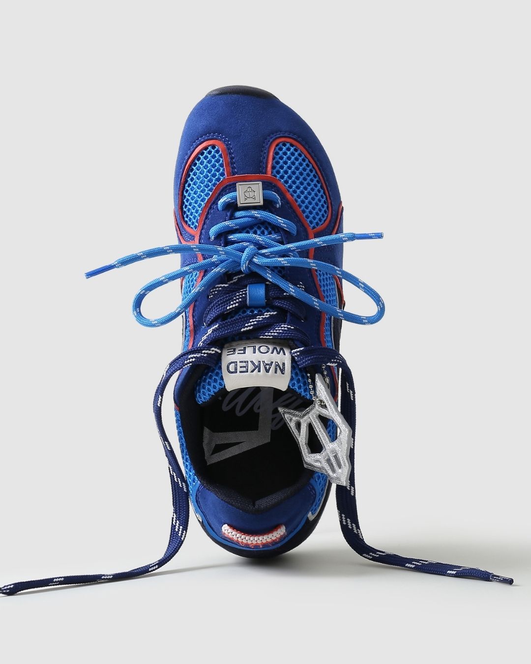 Adored Blue Mesh