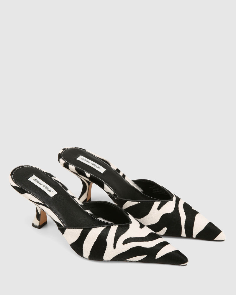 Hagen Zebra Pony