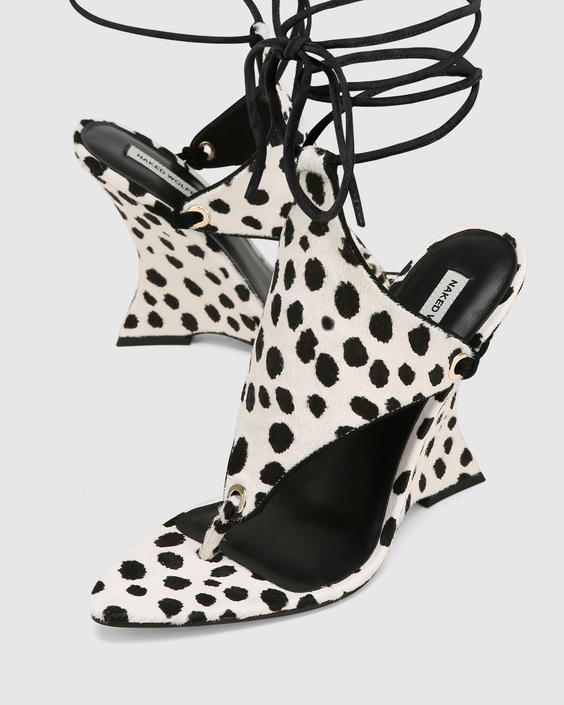 Rampage Dalmation Pony