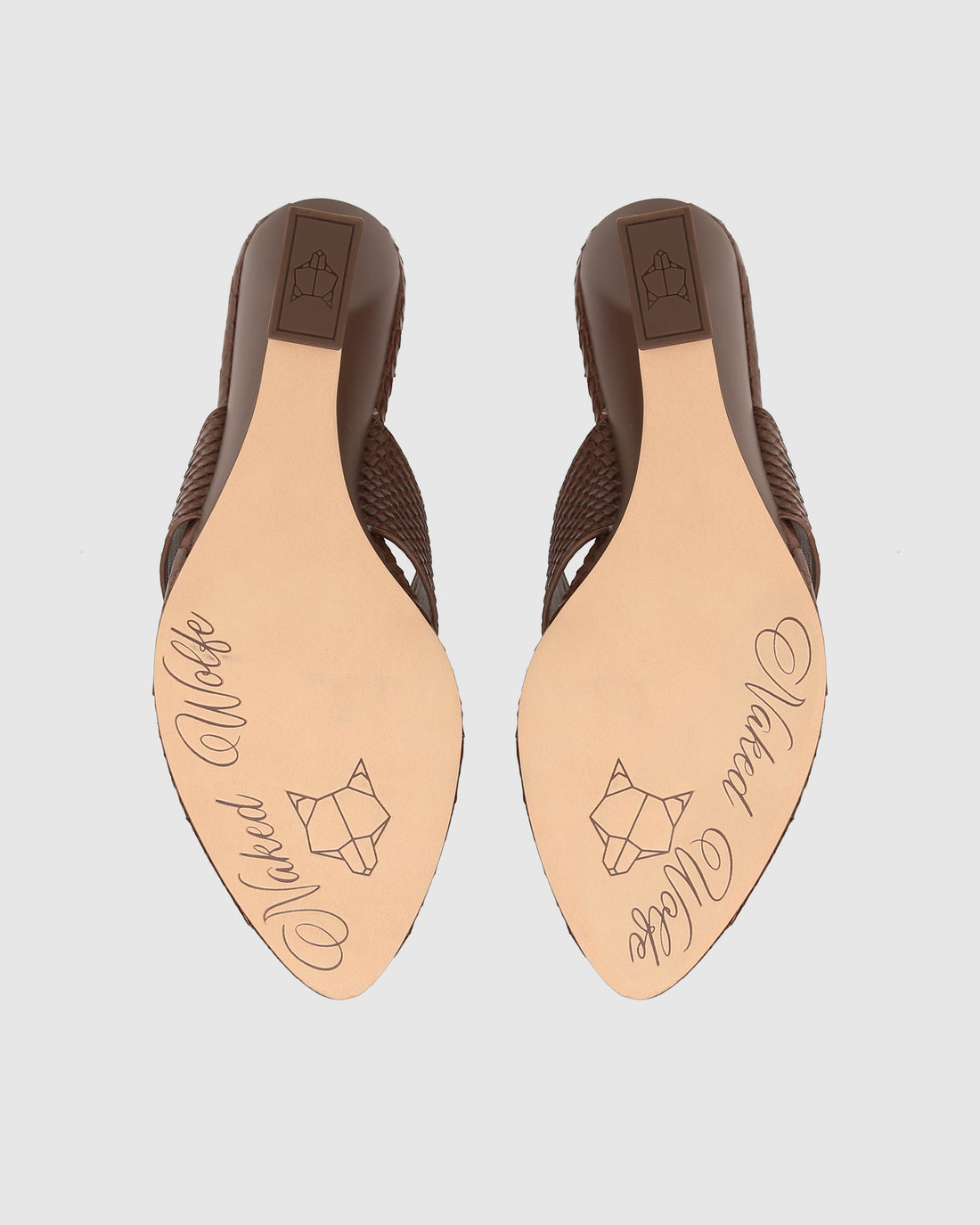 Stampede Brown Snake